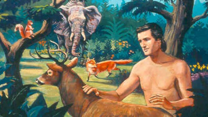 Who is Adam and how the humanity started?